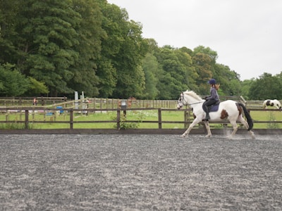A person rides a white and brown horse in an outdoor arena with a backdrop of lush green trees and wooden fences. The ground is gray and textured, likely consisting of sand or dirt. In the background, another person walks and there are structures and fields that suggest an equestrian facility.