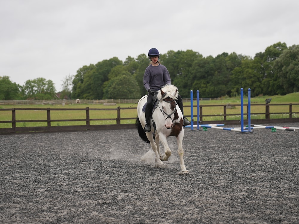 a person riding on the back of a white horse