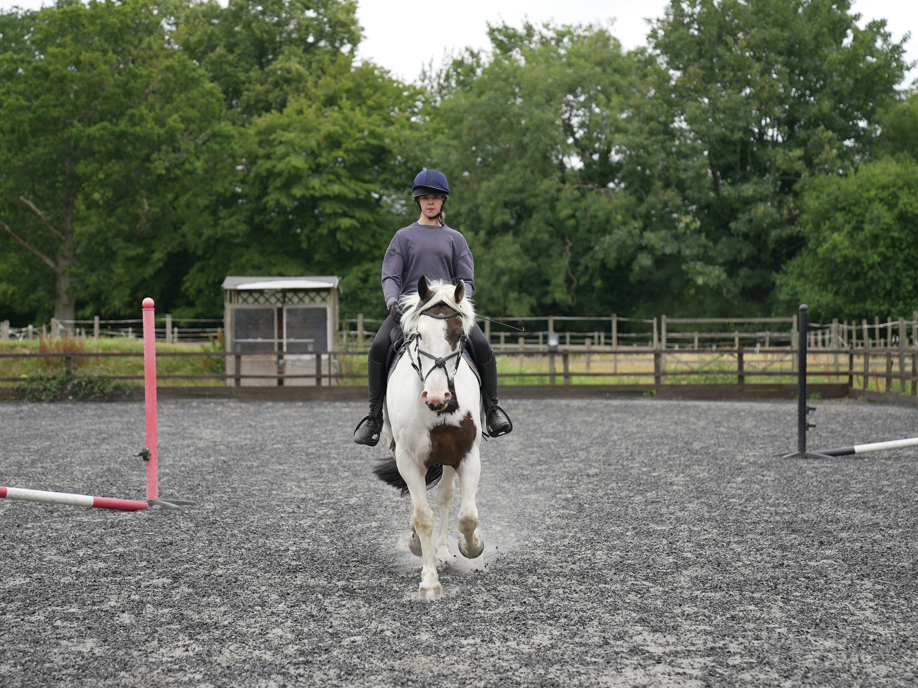 Broomhill Farm Equestrian Centre
