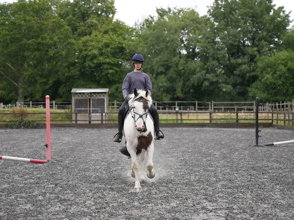 Rider schooling a horse in an outdoor arena