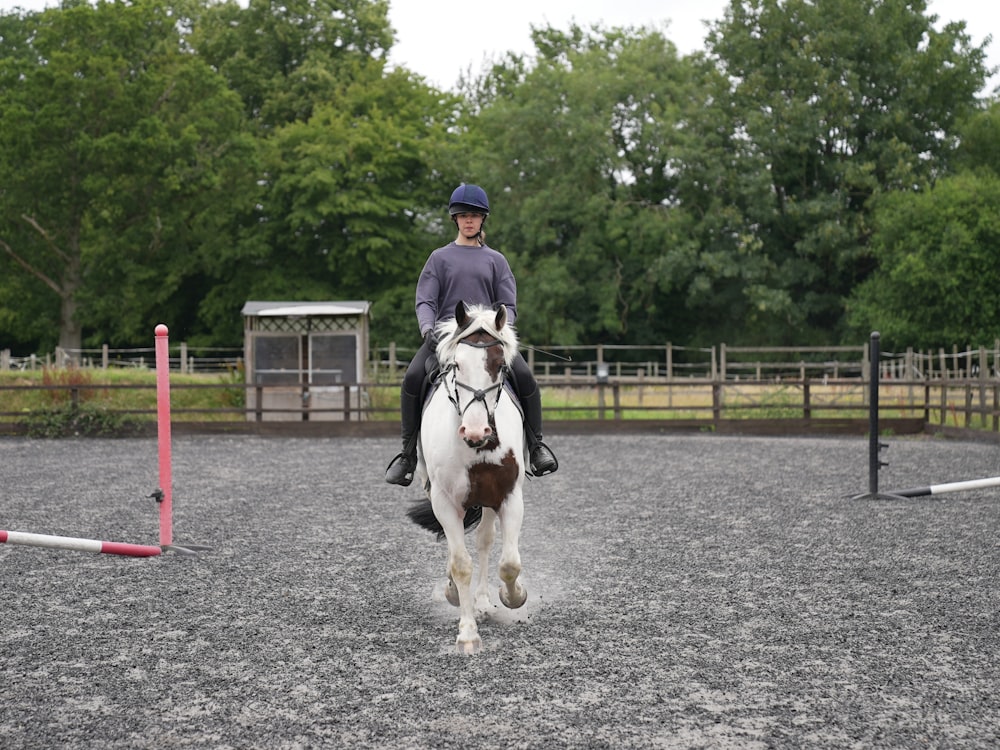 a person riding a horse in an arena