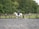 A person rides a horse in an outdoor arena surrounded by a wooden fence. The horse is white with dark spots, and the rider is wearing a helmet and jacket. The arena is bordered by lush green trees, and the ground is covered with a dark gravel surface.