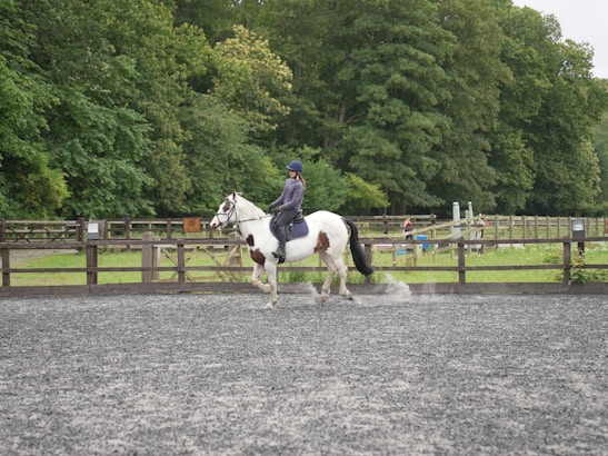 A person rides a horse in an outdoor arena surrounded by a wooden fence. The horse is white with dark spots, and the rider is wearing a helmet and jacket. The arena is bordered by lush green trees, and the ground is covered with a dark gravel surface.