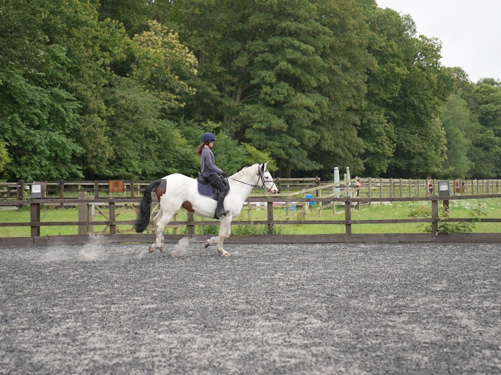 a person riding a horse in a fenced in area