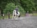 A person riding a white and brown horse in an outdoor arena surrounded by trees and wooden fences. The rider is wearing a helmet and casual riding clothes. In the background, another person is sitting on a set of purple steps, observing the scene.
