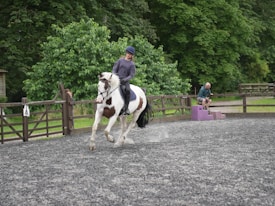 A person riding a white and brown horse in an outdoor arena surrounded by trees and wooden fences. The rider is wearing a helmet and casual riding clothes. In the background, another person is sitting on a set of purple steps, observing the scene.