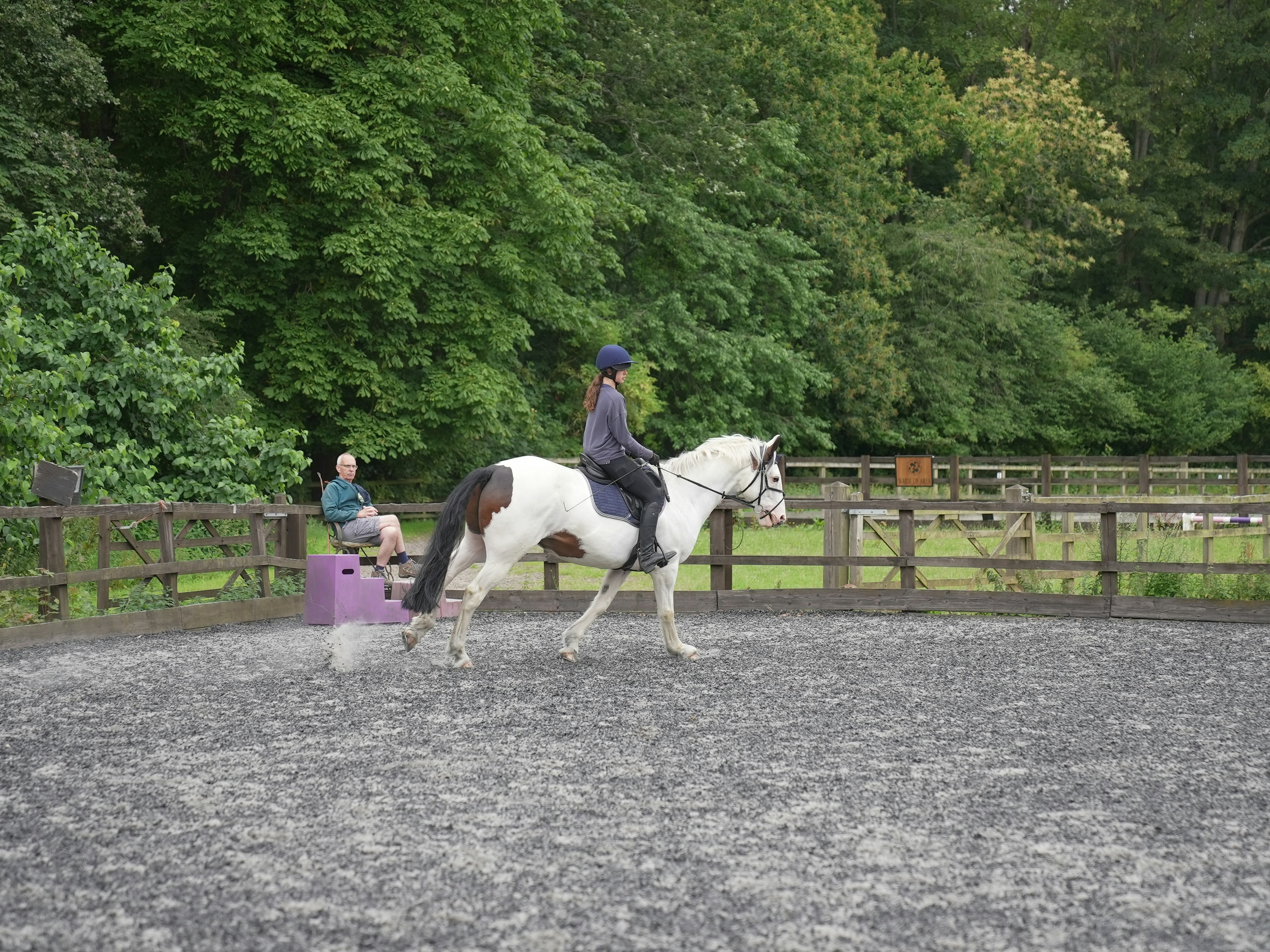 Équitation Éthique et Performante