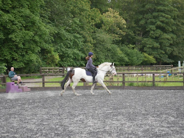 A horse training session in a scenic outdoor arena.