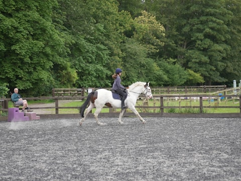 A trainer working patiently with a horse in a quiet pasture surrounded by trees.