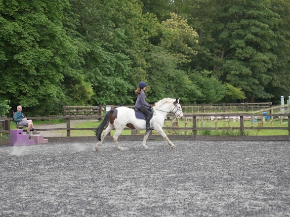 A person riding a white and brown horse in an outdoor arena with a fenced area surrounded by lush green trees. Another person is sitting nearby on a purple mounting block observing the activity. The ground appears to be made of grey synthetic material, and the mood is calm and focused.
