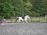 A person riding a white and brown horse in an outdoor arena with a fenced area surrounded by lush green trees. Another person is sitting nearby on a purple mounting block observing the activity. The ground appears to be made of grey synthetic material, and the mood is calm and focused.