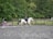 A person riding a white and brown horse in an outdoor arena with a fenced area surrounded by lush green trees. Another person is sitting nearby on a purple mounting block observing the activity. The ground appears to be made of grey synthetic material, and the mood is calm and focused.