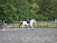 A person riding a white and brown horse in an outdoor arena with a fenced area surrounded by lush green trees. Another person is sitting nearby on a purple mounting block observing the activity. The ground appears to be made of grey synthetic material, and the mood is calm and focused.