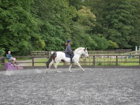 A person riding a white and brown horse in an outdoor arena with a fenced area surrounded by lush green trees. Another person is sitting nearby on a purple mounting block observing the activity. The ground appears to be made of grey synthetic material, and the mood is calm and focused.