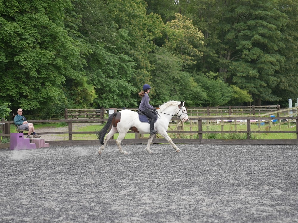 a person riding a white horse in a fenced in area