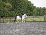 A person is riding a white horse with brown patches in an outdoor arena. The rider is wearing a helmet and dark riding attire. The arena is surrounded by wooden fences and lush green trees, with a cloudy sky above. The ground is covered with a gray, gravel-like surface.