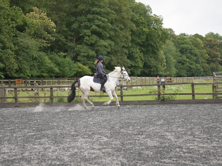 A person is riding a white horse with brown patches in an outdoor arena. The rider is wearing a helmet and dark riding attire. The arena is surrounded by wooden fences and lush green trees, with a cloudy sky above. The ground is covered with a gray, gravel-like surface.
