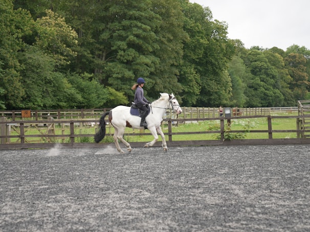 A person is riding a white horse with brown patches in an outdoor arena. The rider is wearing a helmet and dark riding attire. The arena is surrounded by wooden fences and lush green trees, with a cloudy sky above. The ground is covered with a gray, gravel-like surface.