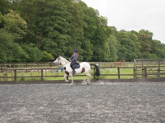 A person is riding a white horse with dark patches on a gravel area surrounded by wooden fences. In the background, lush green trees and grass fill the scenery, creating a serene countryside atmosphere. Another brown horse is seen grazing in the distance.