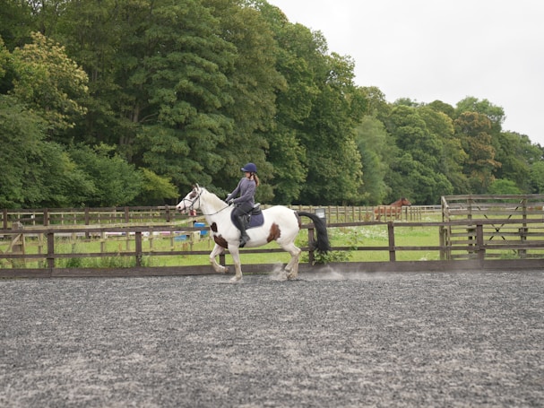 A person is riding a white horse with dark patches on a gravel area surrounded by wooden fences. In the background, lush green trees and grass fill the scenery, creating a serene countryside atmosphere. Another brown horse is seen grazing in the distance.