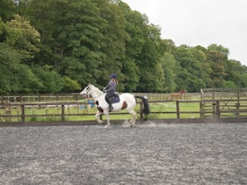 A person is riding a white horse with dark patches on a gravel area surrounded by wooden fences. In the background, lush green trees and grass fill the scenery, creating a serene countryside atmosphere. Another brown horse is seen grazing in the distance.