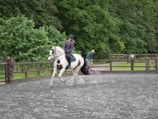 A person is riding a white and brown horse on a gravel or sand surface enclosed by a wooden fence. The rider is wearing a helmet and is in the mid-motion of riding. There are green trees and foliage in the background, and other people can be seen near the fence, one of whom appears to be working with some equipment or blocks.