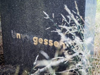 a close up of a sign in the grass