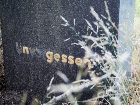a close up of a sign in the grass