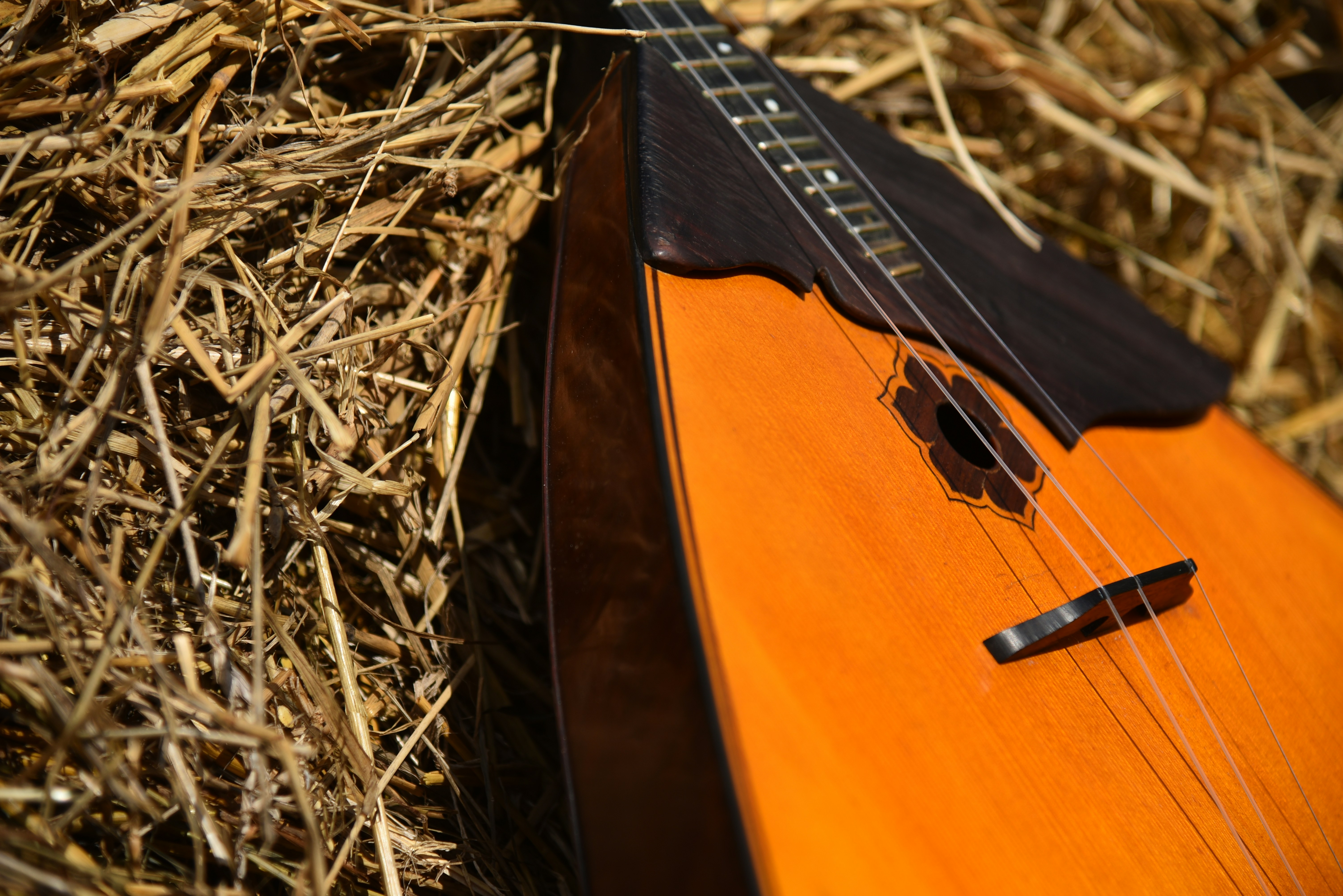 a close up of a guitar laying on a bed of hay