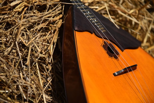 a close up of a guitar laying on a bed of hay