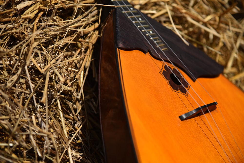 a close up of a guitar laying on a bed of hay