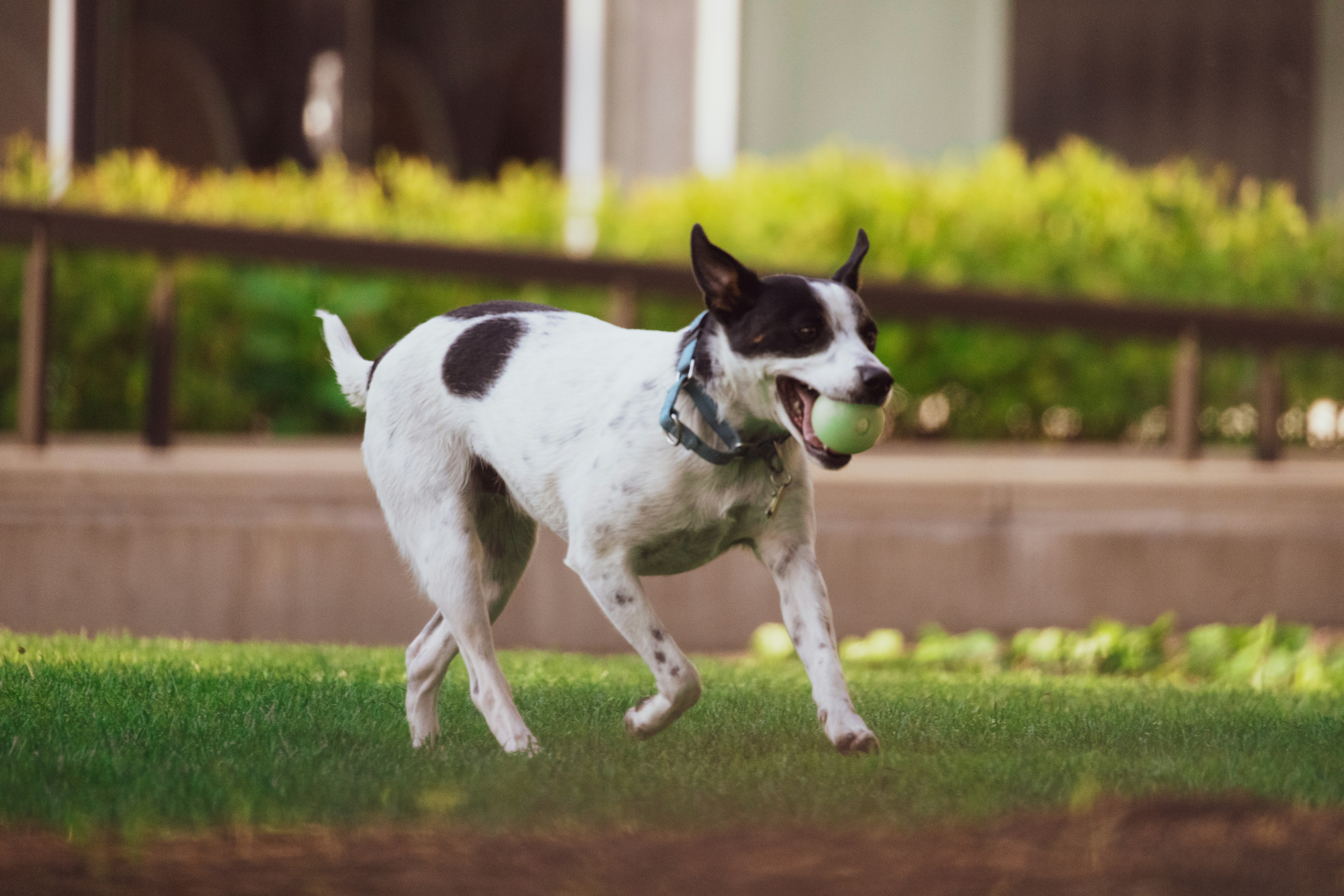 Photo by arttoinspire