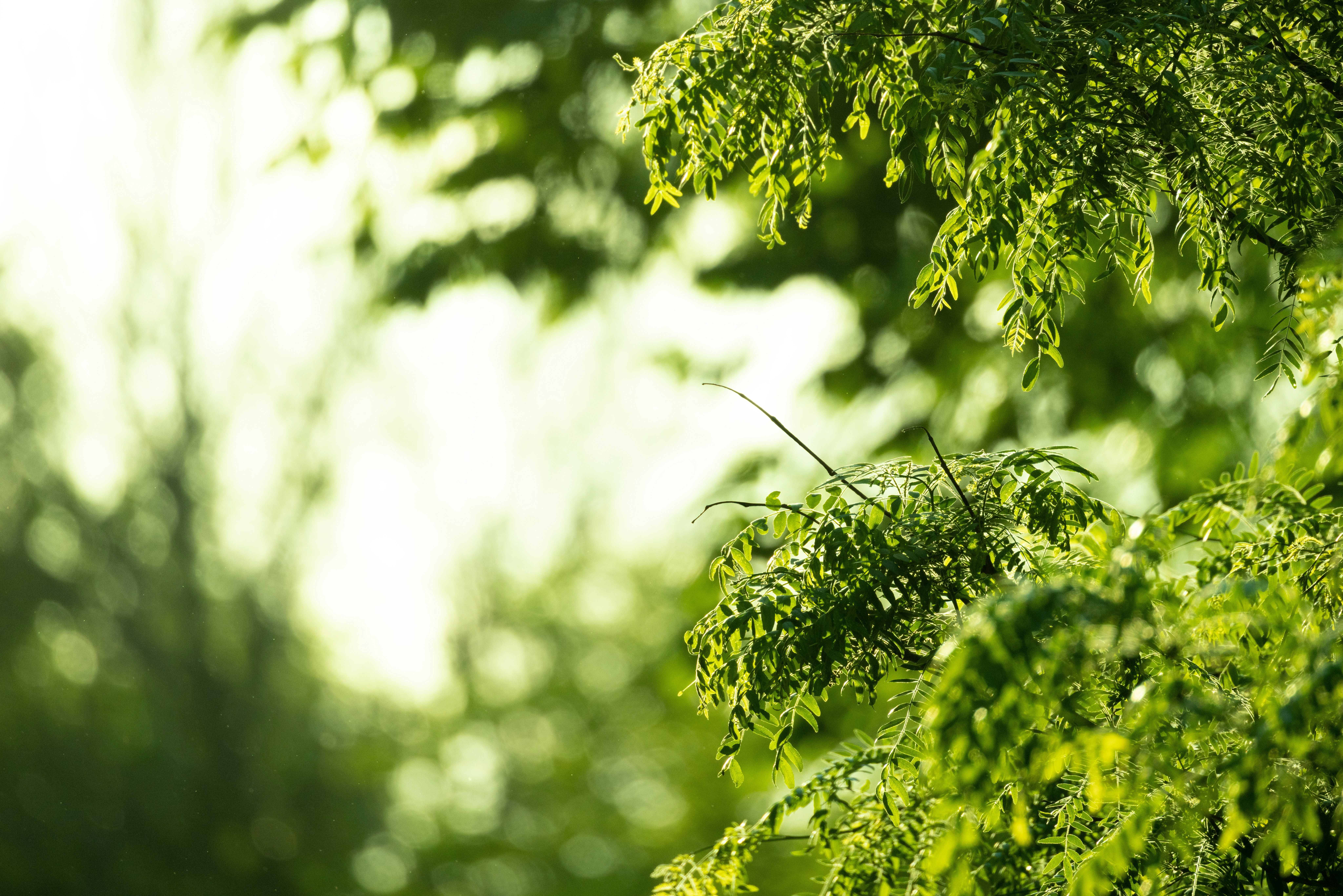 Photo by arttoinspire