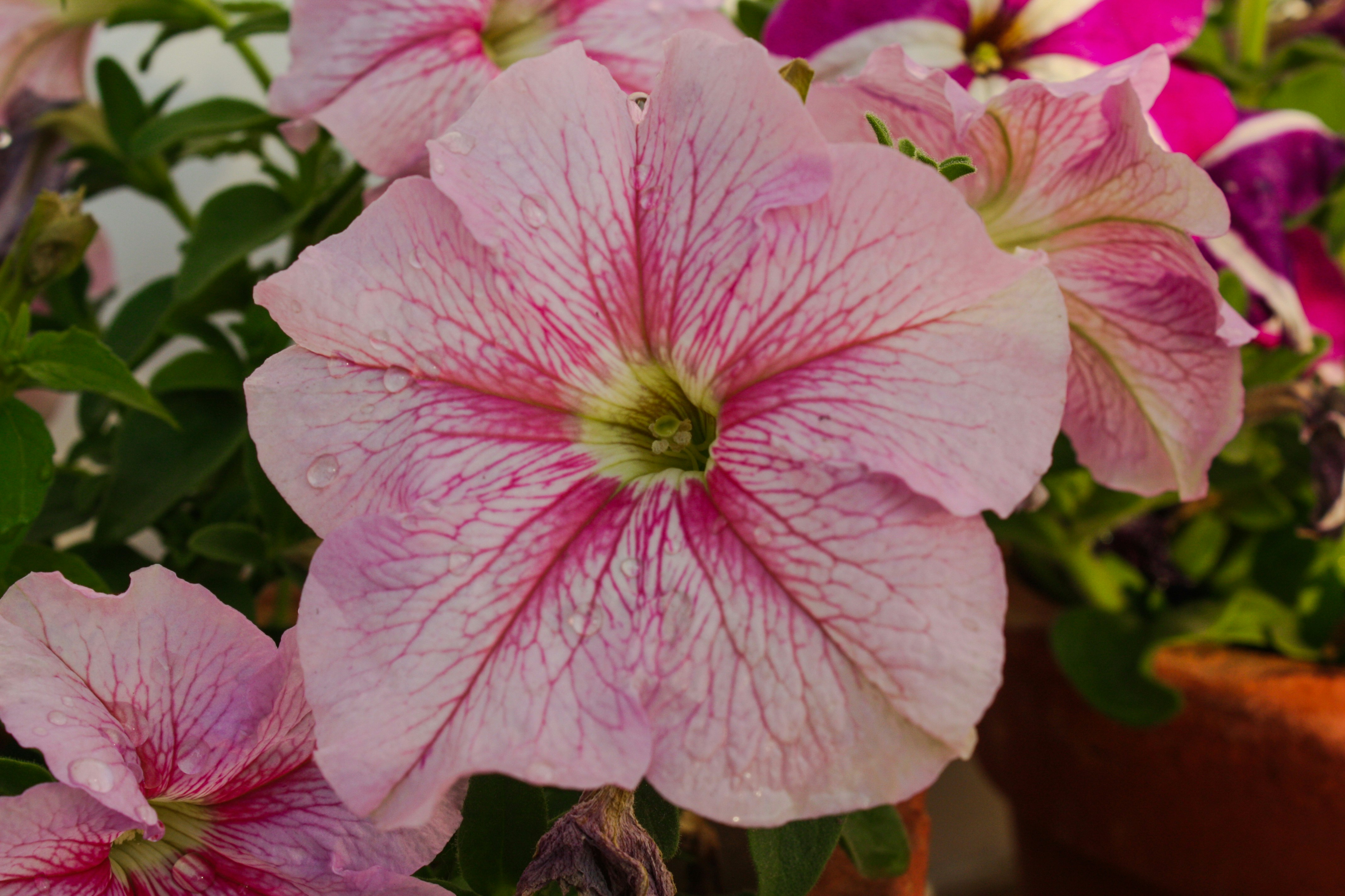 Photo by neelakshi_singh_