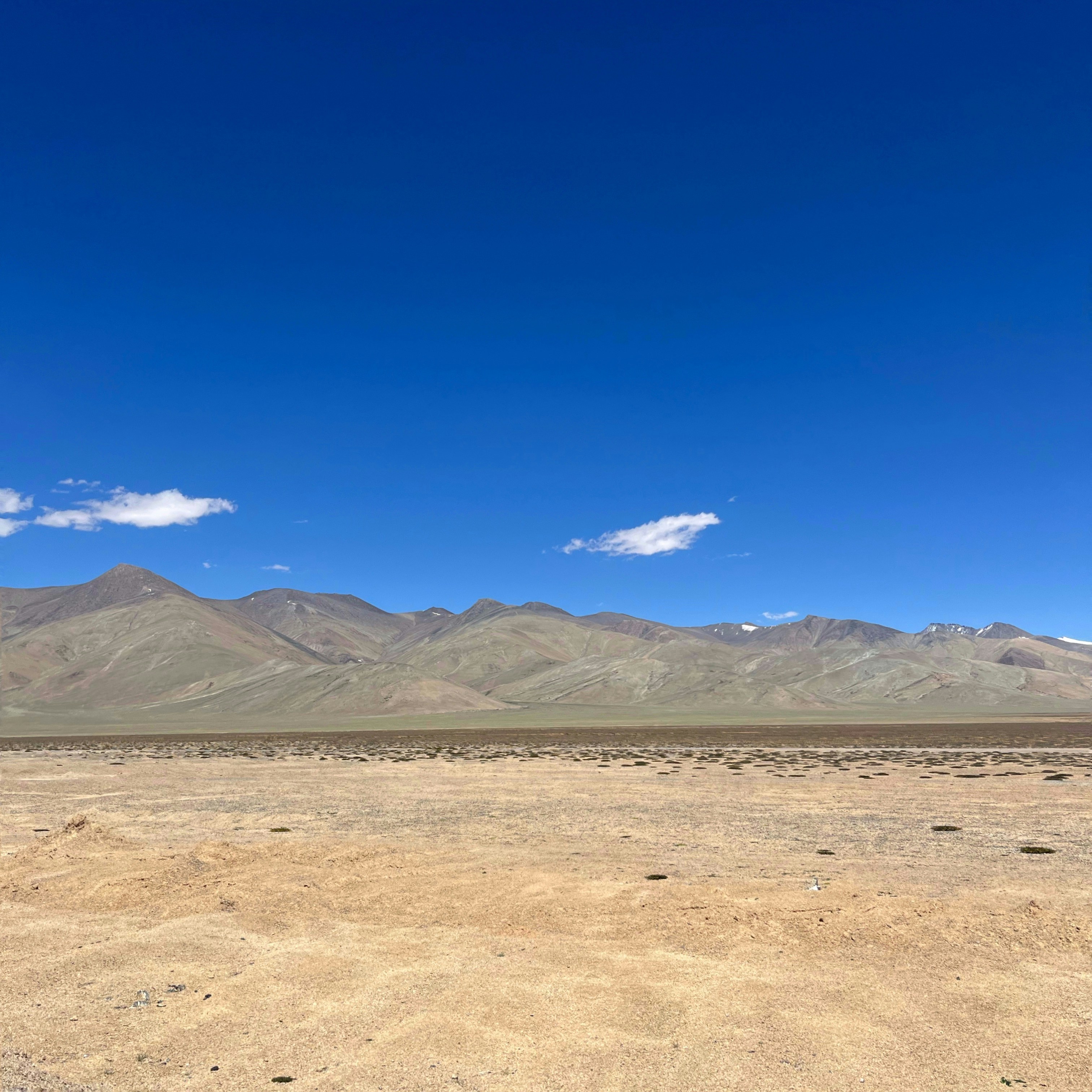 a man riding a horse in the middle of a desert