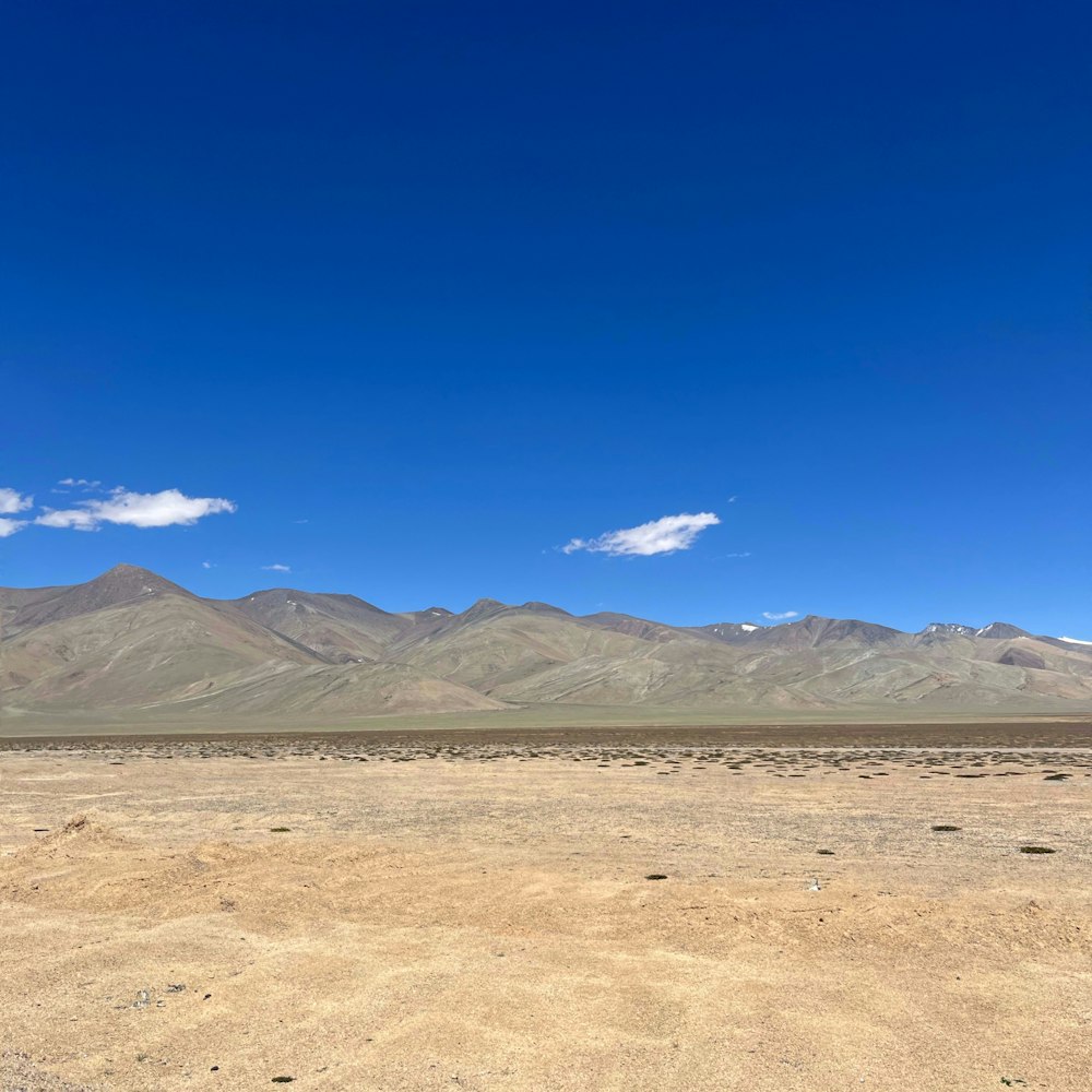 a man riding a horse in the middle of a desert