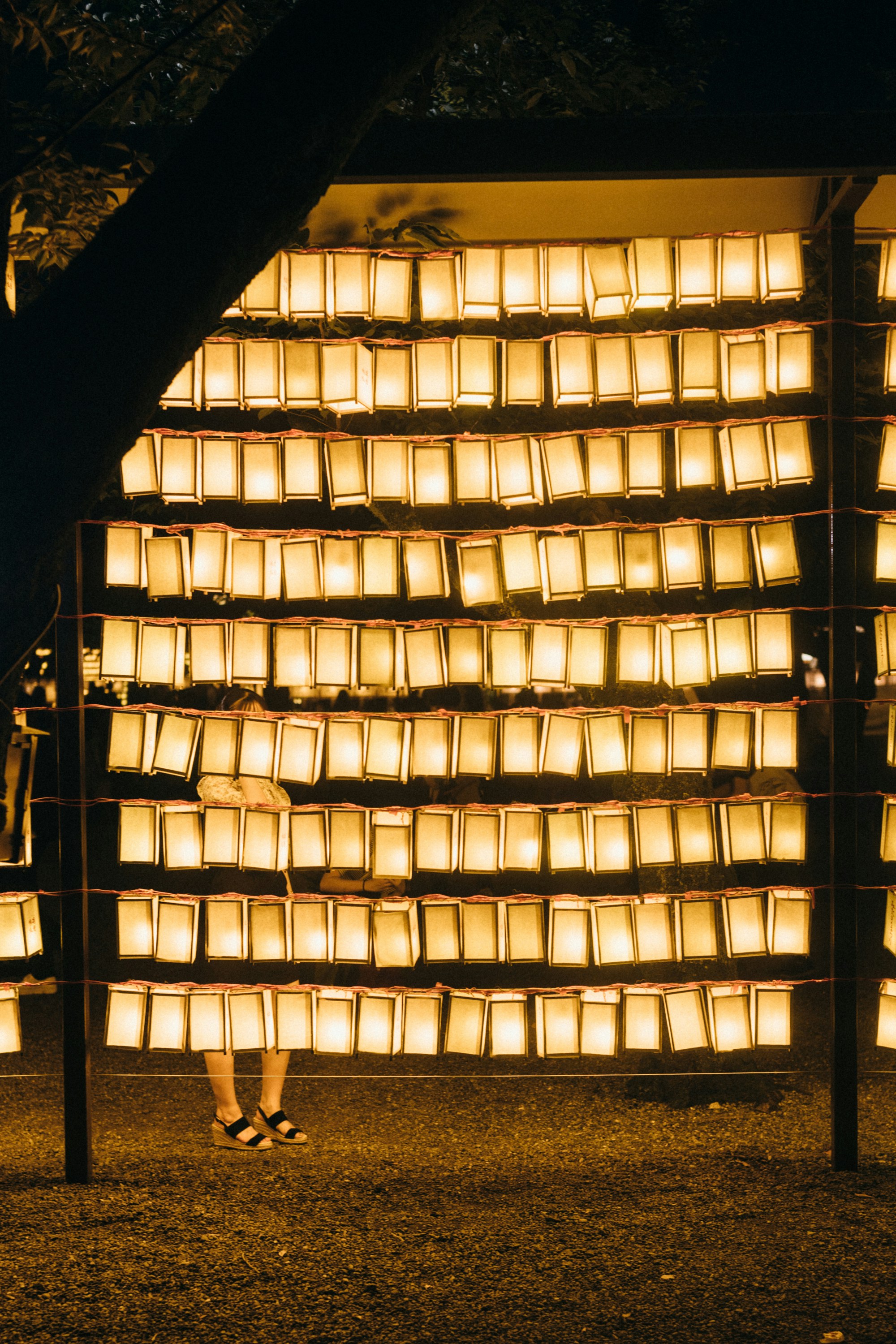 Photo by tsuyoshikozu