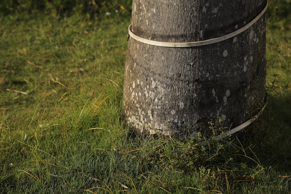 a large metal barrel sitting on top of a lush green field