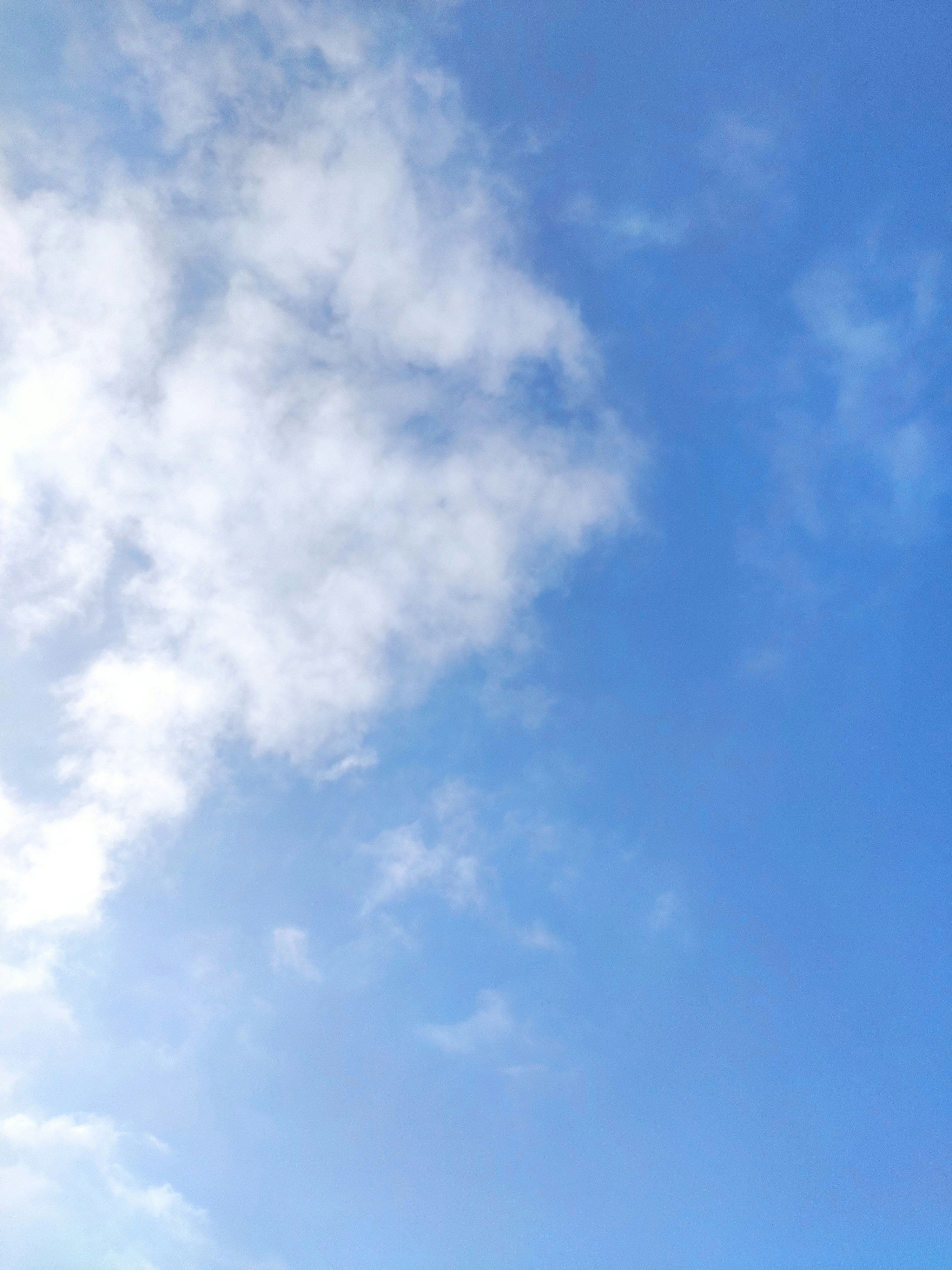 Photo by mostafamahdy