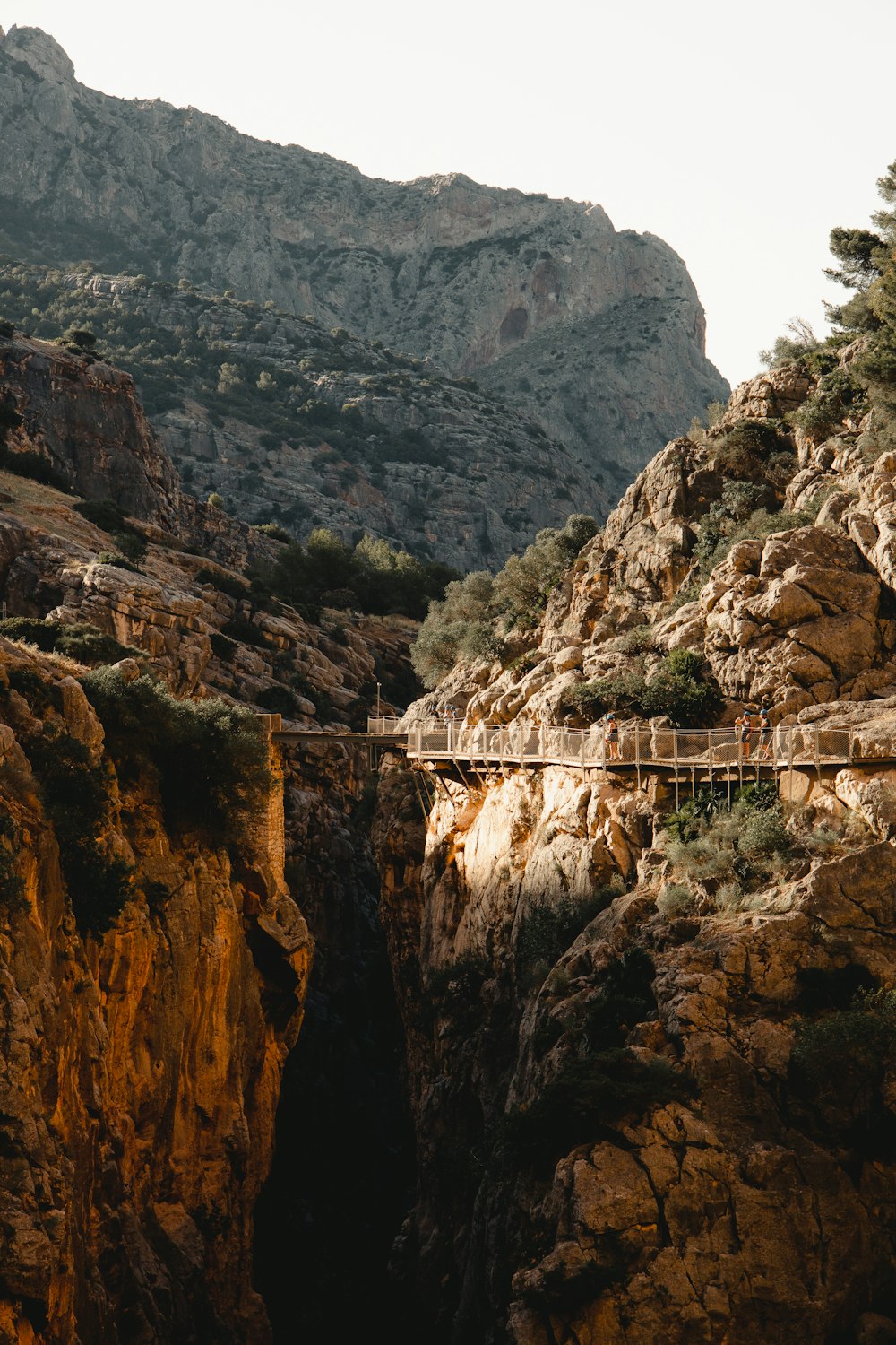 a bridge over a canyon with a mountain in the background