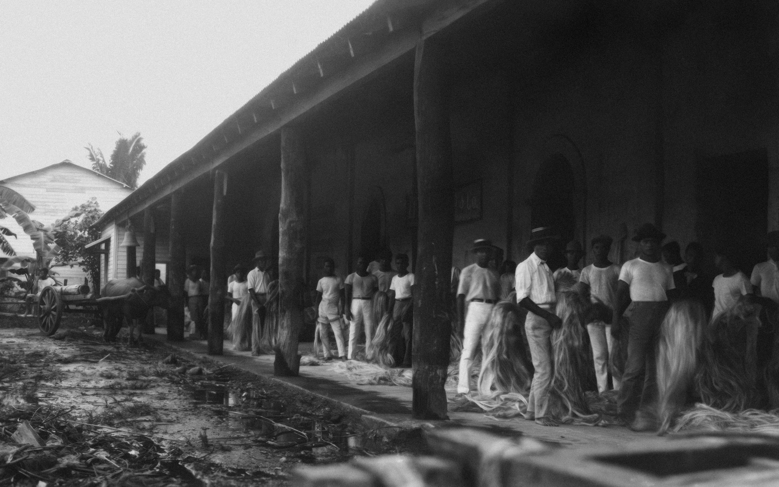 Photo by vestfoldmuseene