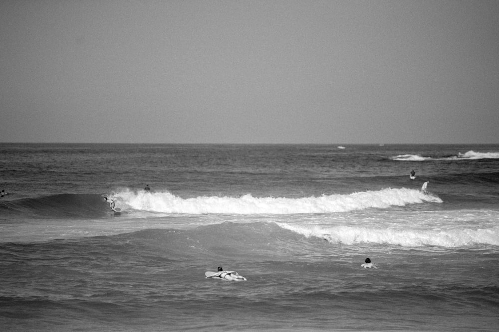 a group of people riding surfboards on top of a wave