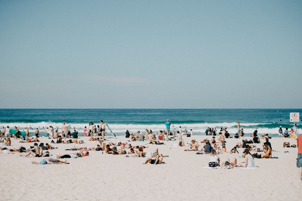 a large group of people on a beach