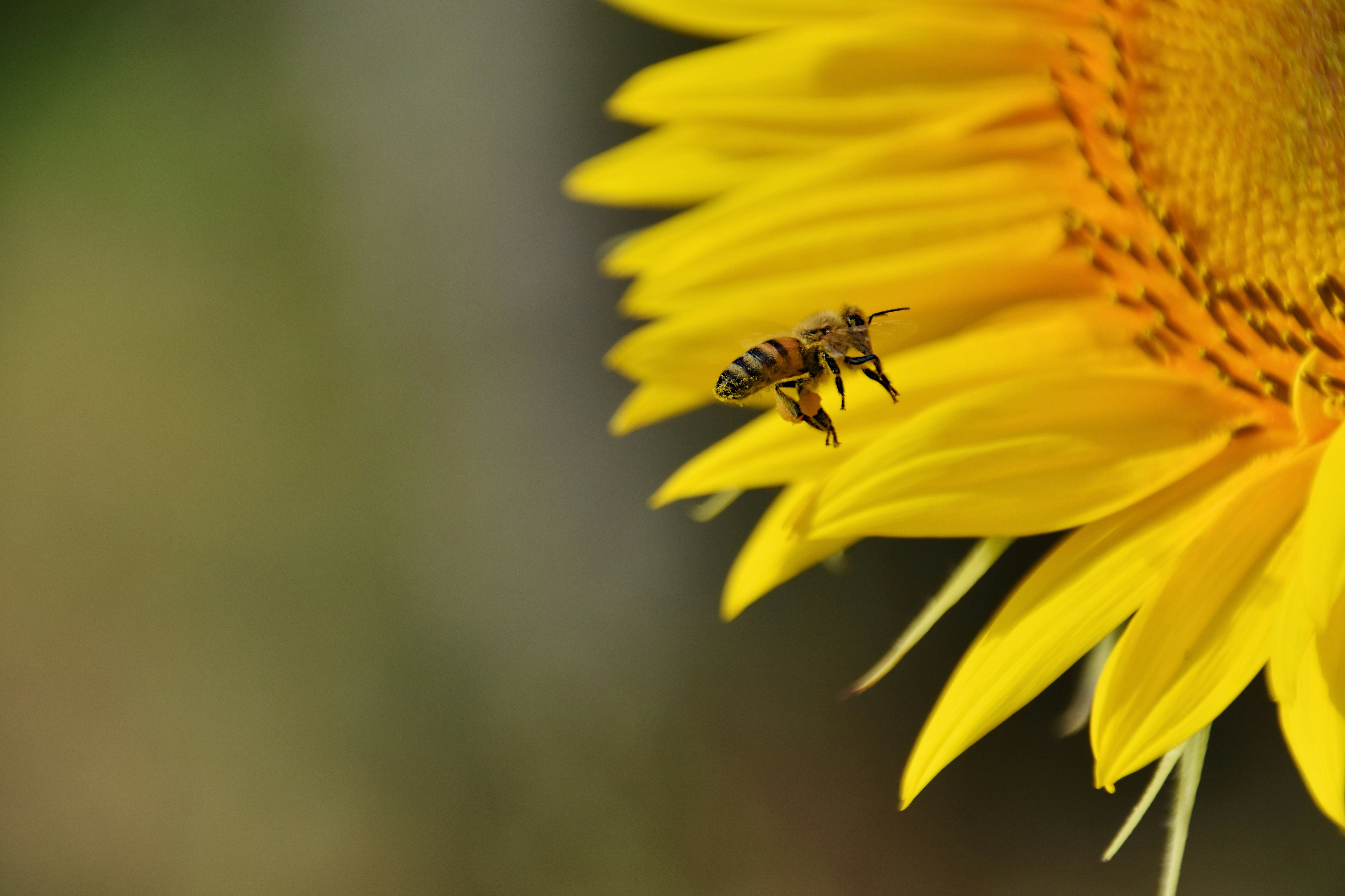 Photo by mariobeducci