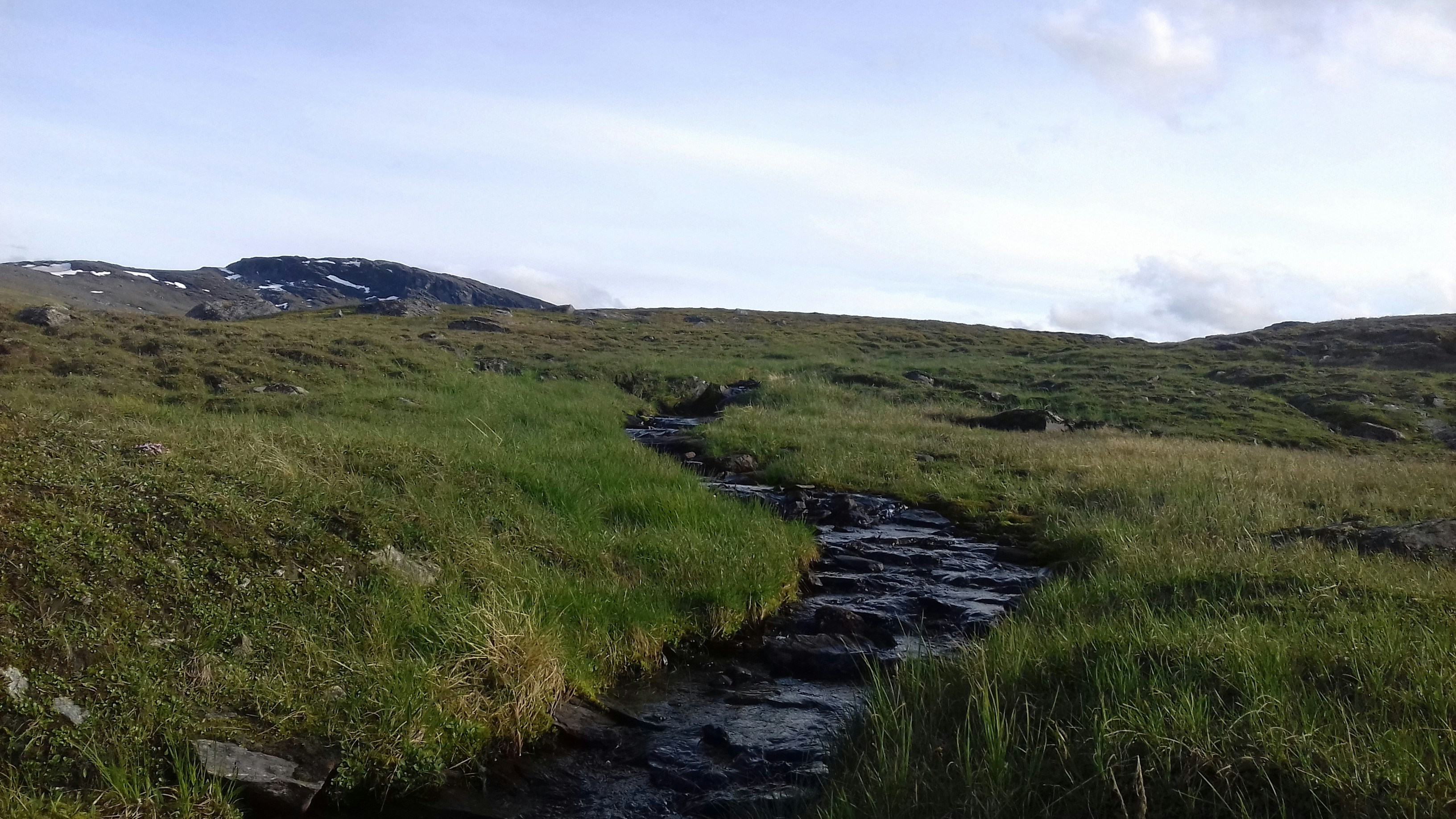 a small stream running through a lush green field