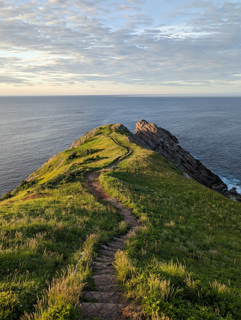 a path leading to the top of a grassy hill