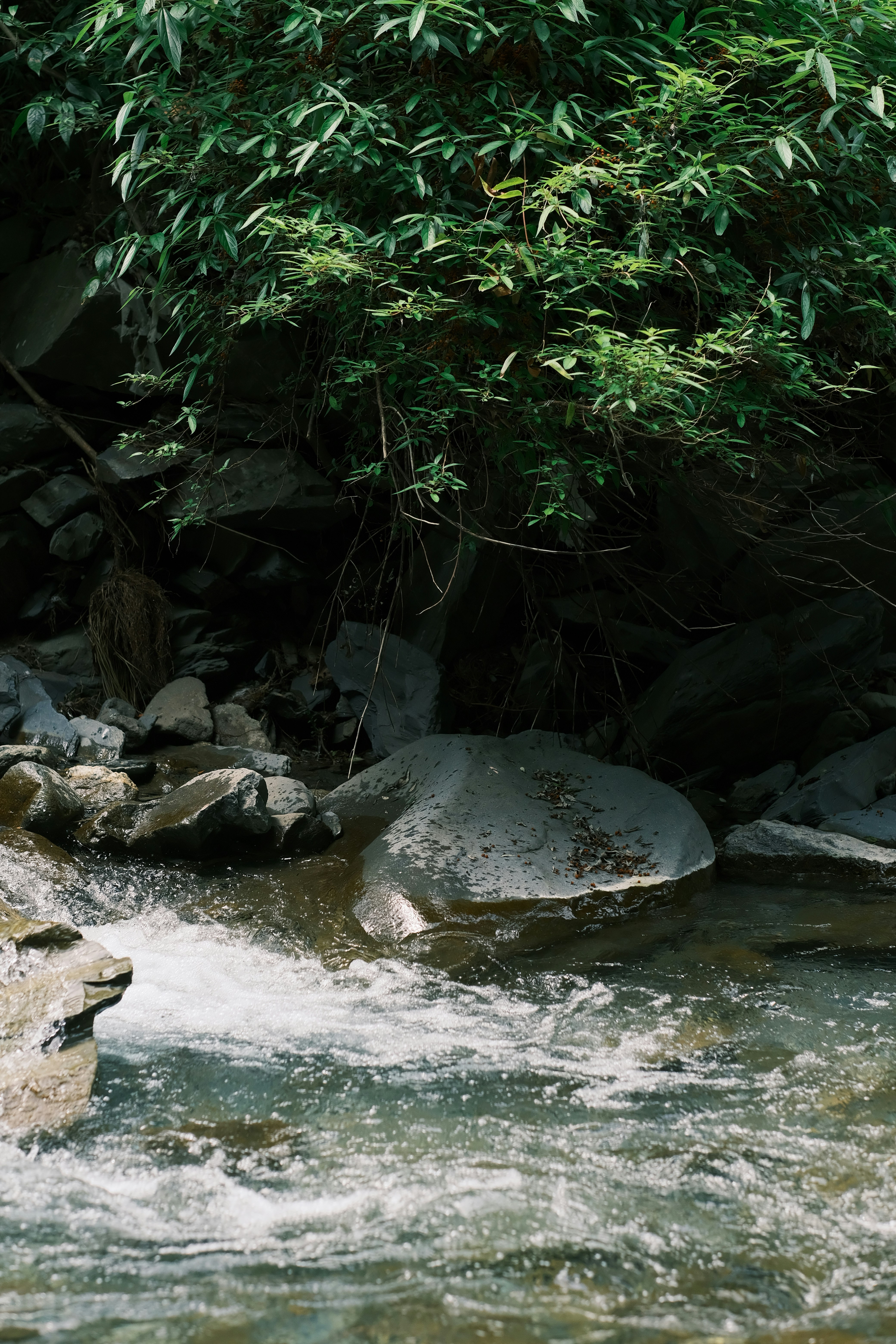 Photo by maycloudbackup