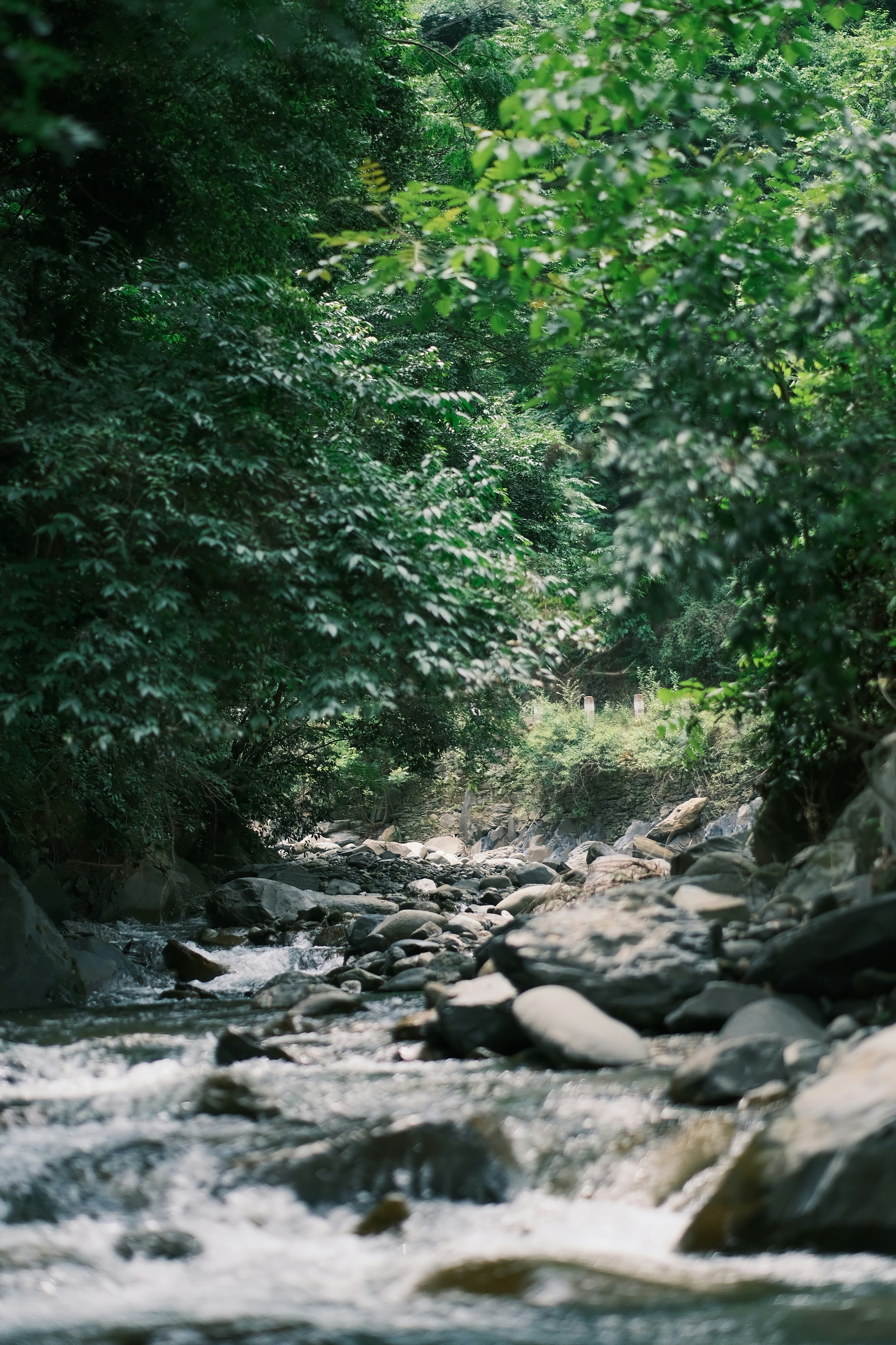 Photo by maycloudbackup