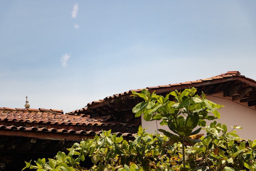 the roof of a building with a clock tower in the background