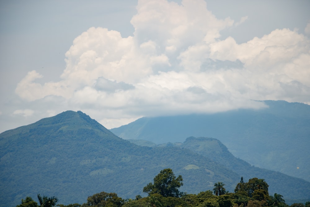 a view of a mountain range with trees in the foreground